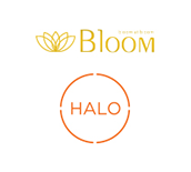 Bloom ΰ